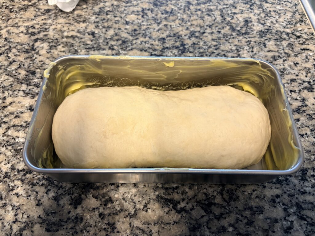 White sandwich bread dough shaped and placed in a buttered loaf pan before the second rise.